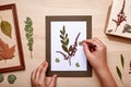 Woman making decoration with dried pressed flowers Royalty Free Stock Photo
