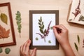 Woman making decoration with dried pressed flowers