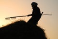 Woman making hay