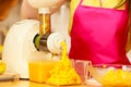 Woman making orange juice in juicer machine Royalty Free Stock Photo