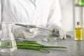 Woman making organic cosmetics with aloe in laboratory