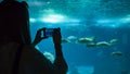 A woman making photo of the fish under water