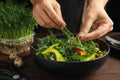 Woman making salad with fresh organic microgreen at wooden table, closeup Royalty Free Stock Photo