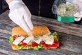 Woman making sandwich with vegetables and cheese Royalty Free Stock Photo