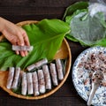 Woman making cha gio at home Royalty Free Stock Photo