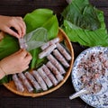 Woman making cha gio at home Royalty Free Stock Photo