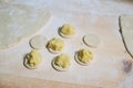 Woman making ukrainian dumplings with potatoes and cottage cheese