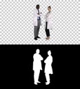 Woman and man doctors with crossed arms, Alpha Channel Royalty Free Stock Photo