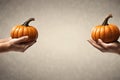 Woman and man holding pumpkin in they hands. Thanksgiving or Halloween concept. Royalty Free Stock Photo
