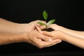 Woman and man holding soil with green plant in hands on black background Royalty Free Stock Photo