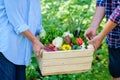 Woman and man holding wooden box with fresh vegetables. Family harvest concept