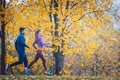 Woman and man jogging or running in park during autumn Royalty Free Stock Photo