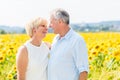 Woman and man, seniors, standing at sunflower field Royalty Free Stock Photo
