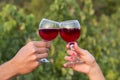 Woman and man in vineyard drinking red vine in the sunshine clin Royalty Free Stock Photo