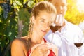 Woman and man in vineyard drinking wine Royalty Free Stock Photo