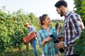 Woman and man in vineyard drinking wine Royalty Free Stock Photo