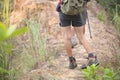 A woman and a man walking a path in a mountain forest. View from