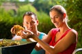 Woman and man working with grape harvesting machine Royalty Free Stock Photo