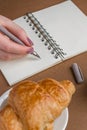Woman with manicure writing on notebook. Freelancer working outdoors. Tasty croissant on white plate on the table
