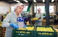 woman marking labels on apples