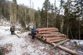 The woman measures the cut of the felled tree and writes down the value in a notebook