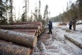 The woman measures the cut of the felled tree and writes down the value in a notebook