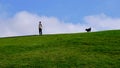 Woman in medical mask walking with her dog on a green hillside under blue sky Royalty Free Stock Photo
