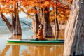 Woman meditating on stand up paddle board at the lake with Taxodium trees Royalty Free Stock Photo