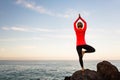 Woman meditating in yoga vrksasana tree pose Royalty Free Stock Photo