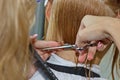 Woman with medium long blonde hair. With a short haircut at the hairdresser at the stylist using scissors. Care procedures. The Royalty Free Stock Photo