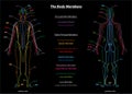 Woman Meridian System Description Chart Black