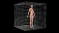 Woman in metal cage . Faraday cage . 3d render illustration