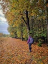 woman mid age walking in the forest during Autumn season in nature trekking with orange red color trees during fall Royalty Free Stock Photo