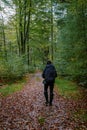 woman mid age walking in the forest during Autumn season in nature trekking with orange red color trees during fall Royalty Free Stock Photo