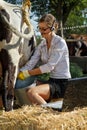 Woman milking cow Royalty Free Stock Photo