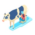 Woman milking cow isometric vector illustration Royalty Free Stock Photo