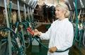 Woman milkmaid in bathrobe in barn working with cow milking machines