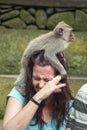 Macaques monkey on head of laughing woman