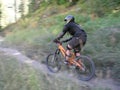 woman mountain bike 4