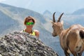 Woman in mountain meets ibex