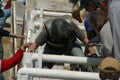 Cowtown Rodeo Preparing to Ride a Bull - 2018