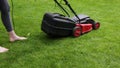 Woman mowing green grass lawn with mower