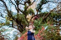 Sensual woman over the autumnal old oak tree