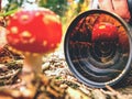 Photographer leans down to take close-up photo of mushroom Royalty Free Stock Photo