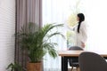 Woman near window in room with plants. Home design ideas Royalty Free Stock Photo