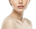 Woman neck shoulder lips nose chin cheeks Royalty Free Stock Photo