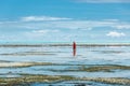 Woman in ocean during low tide Royalty Free Stock Photo