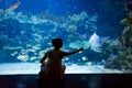 Woman in the oceanarium Royalty Free Stock Photo