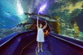 Woman in the oceanarium Royalty Free Stock Photo