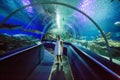 Woman in the oceanarium near alligator gar fish Royalty Free Stock Photo